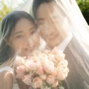 강산픽 | 야외 웨딩스냅 후기(강산픽)