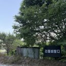 홍천썬호텔&펜션 | 서울 근교 펜션 추천 | 숲속 힐링 가득했던 홍천 풀빌라 펜션 리틀비발디 노천탕 대만족 후기