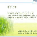 일일참 이미지