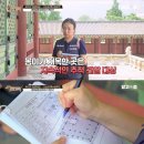 경복궁 출입이 허용되는 유니크 멍뭉이 이미지