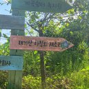 횡성 수영장펜션 친구들과 다녀온 태기산 아침의새소리펜션