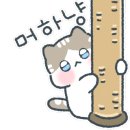 분당 피엘 동물피부클리닉 이미지