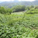 청정자연지리산