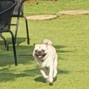 아틀리독 이미지