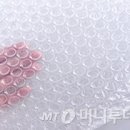 뽁뽁이네
