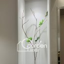 가든내과의원 이미지