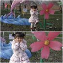 능수어린이집 | 부여가볼만한곳 궁남지(서동공원) 부여여행중 가장좋았던곳!