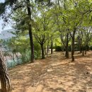 고양어울림누리 별무리인조잔디구장 | 고양어울림누리 별무리경기장 산책 걷기 달리기