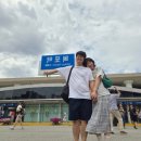 게으름의 낭만 | 1박 2일 목포여행 :: 목포감성숙소, 구보스테이 후기