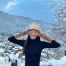 트립앤모어