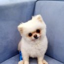 서진동물병원 이미지