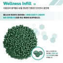 삼화동행정복지센터 | #조달청우수제품인조잔디충전재 #삼화동행정복지센터풋살장-#웰니스인조잔디