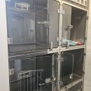 댕댕 쉼터 이미지