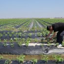 전라북도 농업기술원 이미지