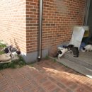 면천보건지소 이미지