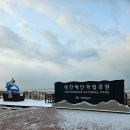 삼봉중앙로 공원 | [2024 태안] 펜션아침바다, 태안레포츠 ATV, 덕수식당 게국지, 소문난 산낙지