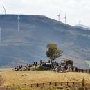 강산목장 이미지