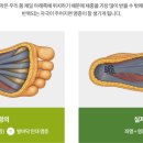 발아정형외과의원 이미지