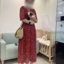 오아이펫 이미지