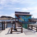 물멍 | 양양 가볼만한곳 남대천 물멍 카페, 카페 둔치 후기