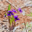 화포천생태습지공원 이미지