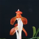 해오름2로 이미지