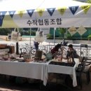 우림사회적협동조합 네이버블로그