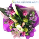 한마당실내포차 이미지
