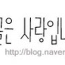 크림우드(Creamwood) 이미지