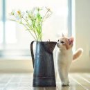 광양동물메디컬센터 이미지