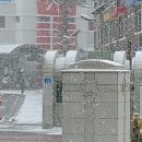 황지초등학교 앞 이미지