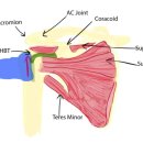 양재성모정형외과의원 이미지
