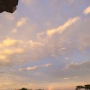 (주)무지개토끼 이미지