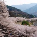 화개119지역대 이미지