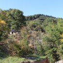 규환농장 이미지