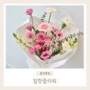 일랑플라워