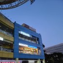 왈왈이애견카페웨스턴돔점 이미지