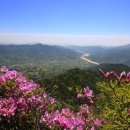 형제봉 한국일보