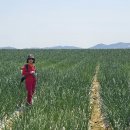 해변노을 이미지