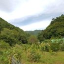 방천2리 이미지