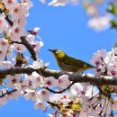 신화태권도장 이미지