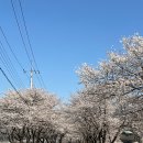 빨래터캠핑장 | 대구 근교 캠핑 빨래터캠핑장 — 가족·반려견 동반 추천, 5만원대 가성비 캠핑