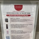 주엽찜질다이어트 | 주엽: 누워서 하는 다이어트 이게 되네..? 에스코핏 주엽점 솔직 후기