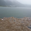 비로촌농장 이미지