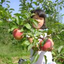 은비네농장 이미지