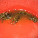 진가초등학교 이미지