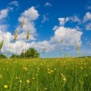 카페링크 이미지