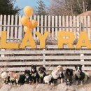 견고하개 이미지