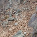 장군산길 이미지