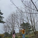 행복한손님